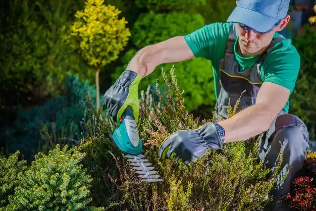 landscaping services Swanton